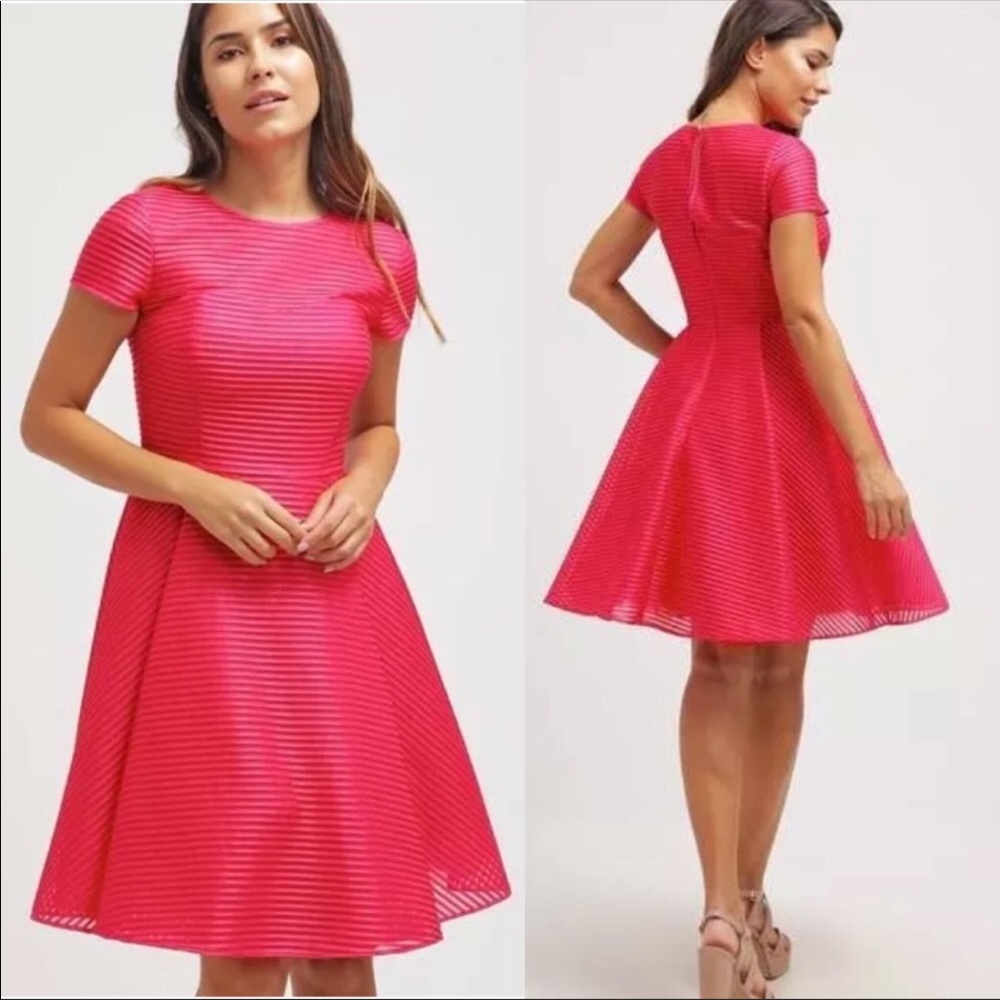 NWT Ted Baker Fuschia Pink Mesh Stripe Dress